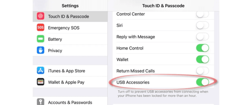 Apple Zero-Day Vulnerability 