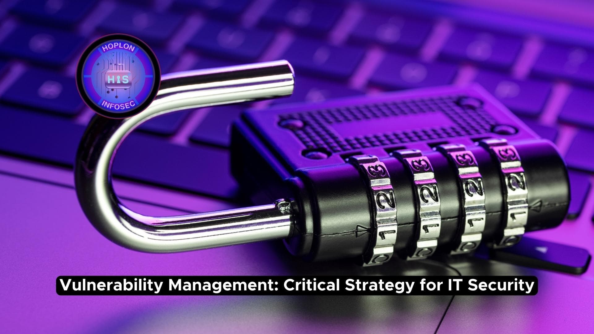 Vulnerability Management: A Critical Strategy for IT Security
