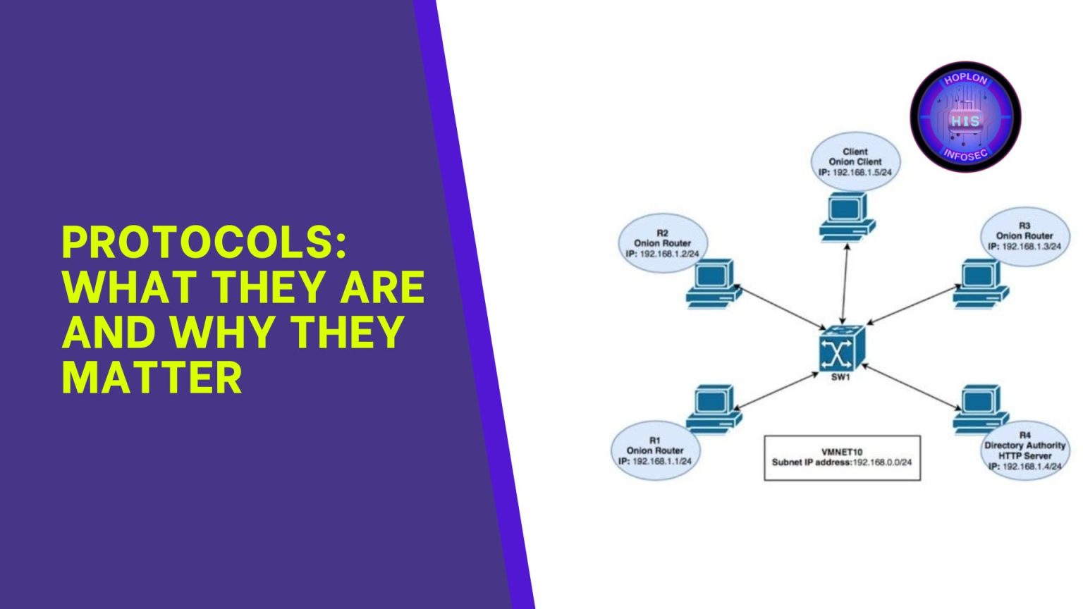 Discover the Protocols: What They Are and Why They Matter