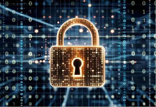Data Protection and Privacy Framework